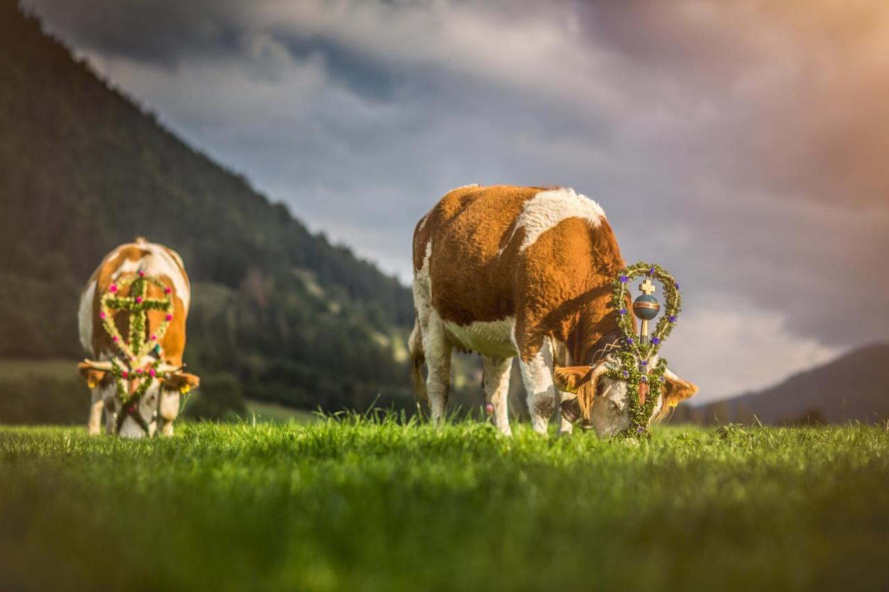 Der Anderlbauer Am See Schliersee Eksteriør billede